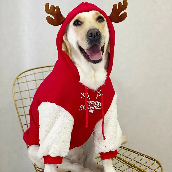 Christmas Moose Hoodie for Dogs - 1 Pack, Festive